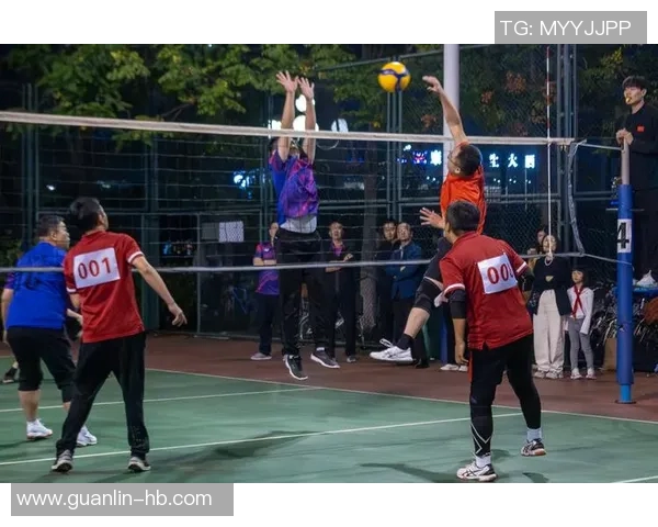 体育实时数据重庆排球队凭借最新排球配合技巧领跑全国TOP10展现强大实力